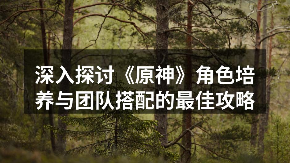 深入探讨《原神》角色培养与团队搭配的最佳