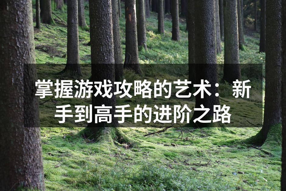 掌握游戏攻略的艺术：新手到高手的进阶之路